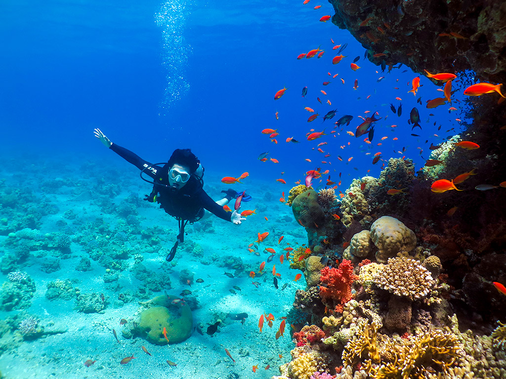 israel coral travel