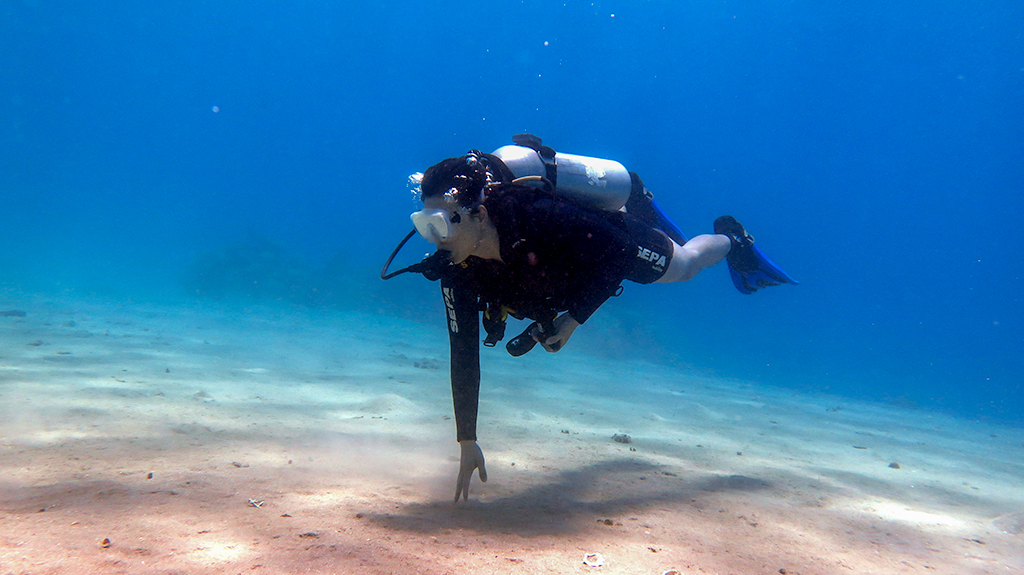 Ace Posing like a Stud Underwater, Eilat, Israel