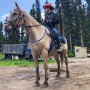 Ace and Chester the Blond Stallion, Banff, Canada