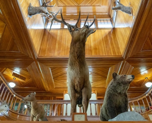 Banff Park Museum National Historic Site, Banff, Canada