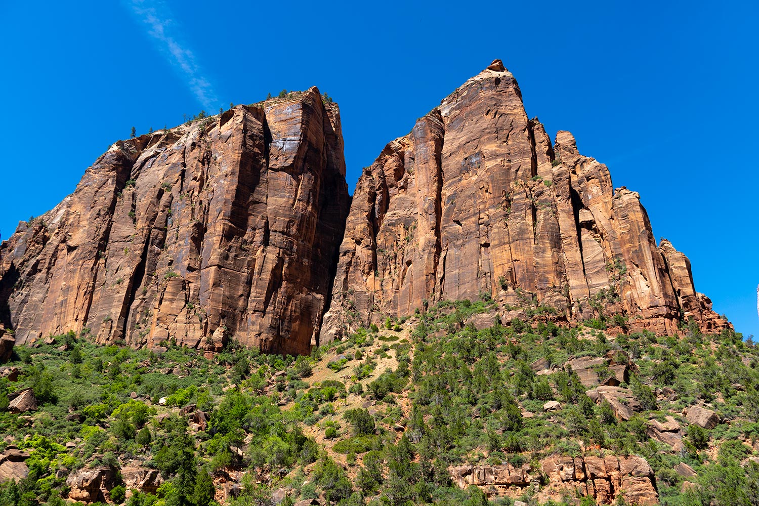 Sandstone Cliffs, Zion National Park, Utah, United States
