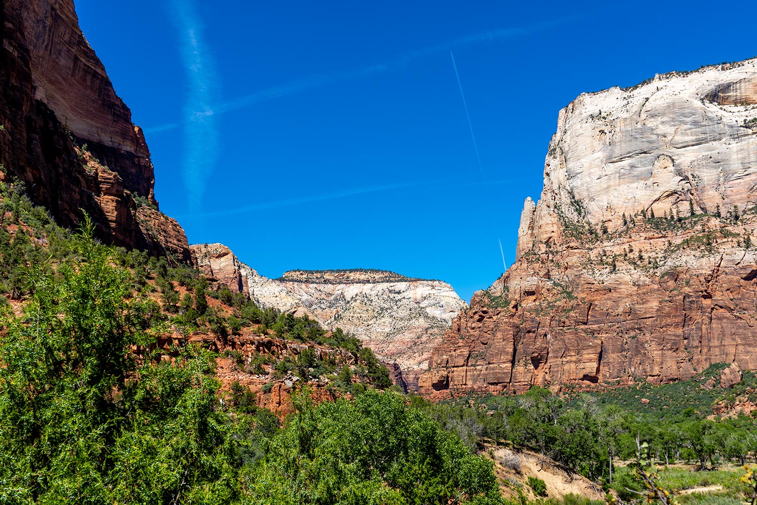 Zion Scenic Shot, Zion National Park, Utah, United States