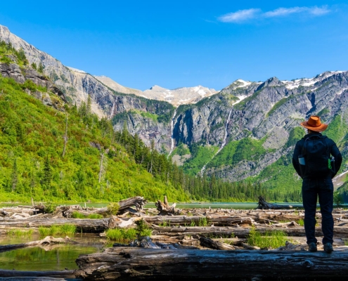 Ace and Avalanche Lake, Glacier National Park, Montana, United States