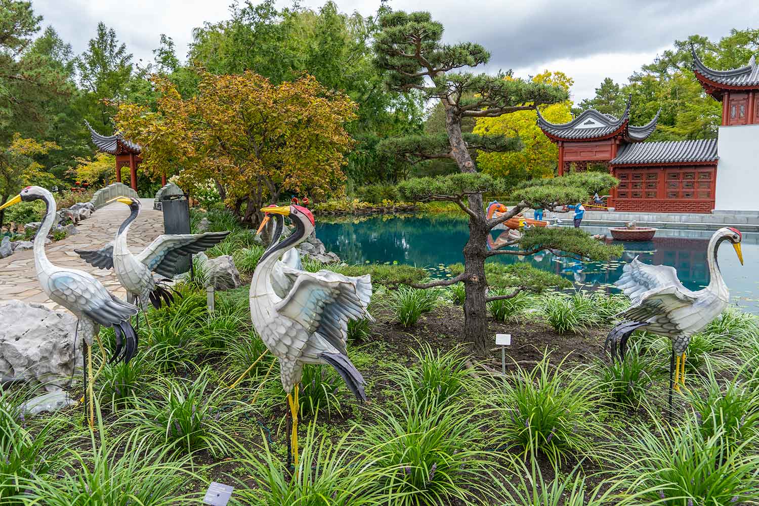 Cranes, Montreal Botanical Garden, Montreal, Canada