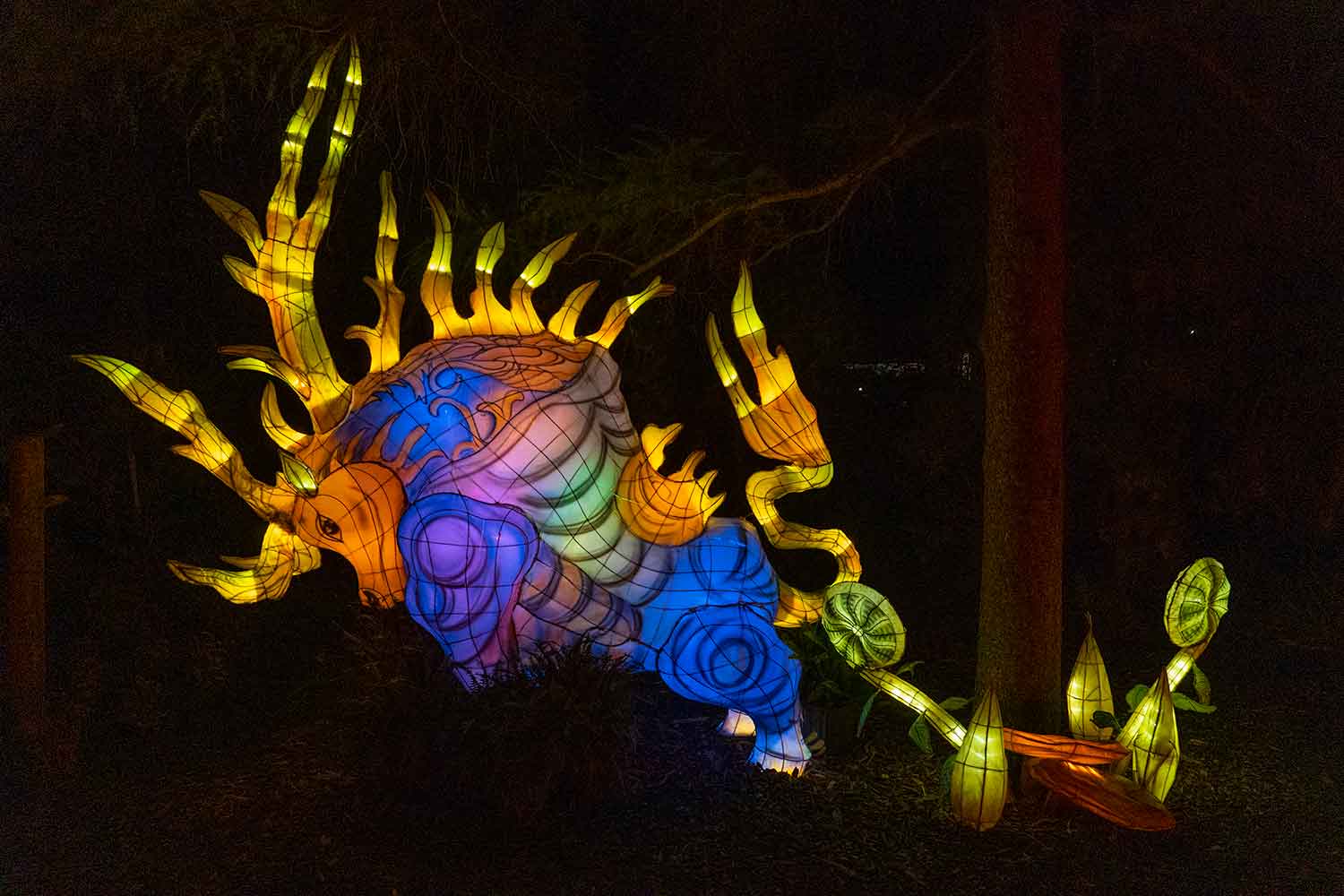 Mystic Ox (Night), Montreal Botanical Garden, Montreal, Canada