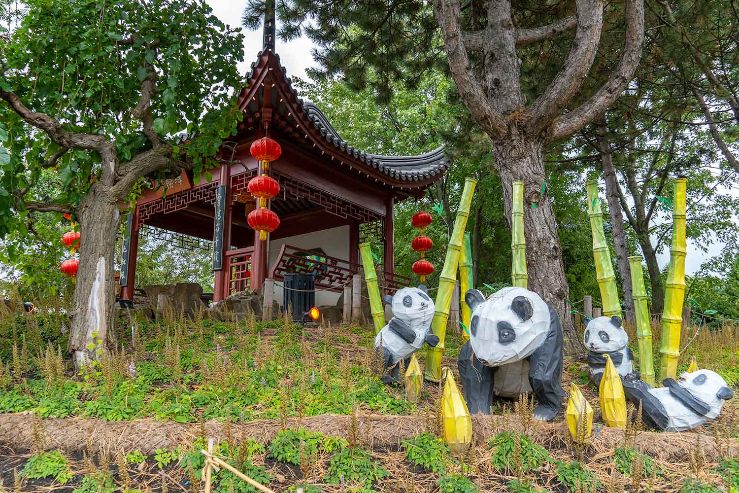 Pandas, Montreal Botanical Garden, Montreal, Canada