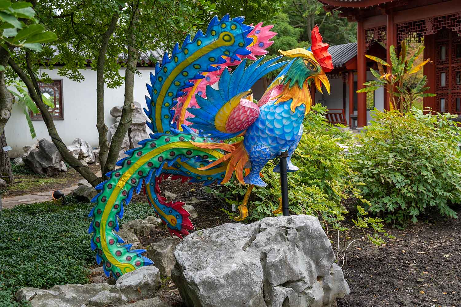 Peacock (Day), Montreal Botanical Garden, Montreal, Canada