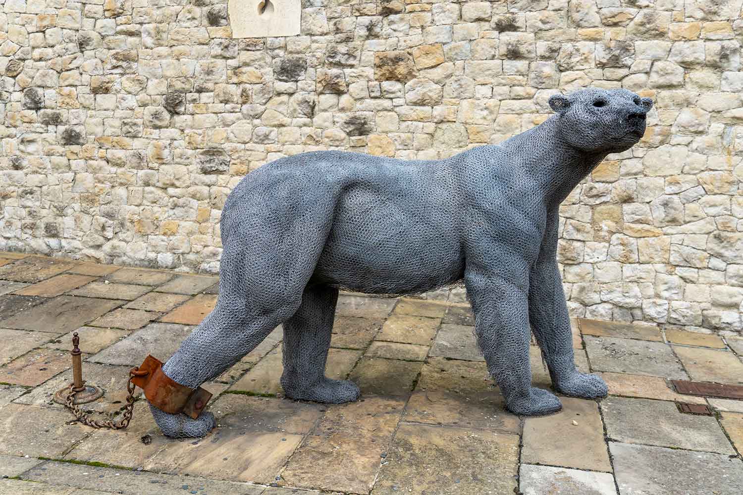 Polar Bear Display, Tower of London, London, United Kingdom