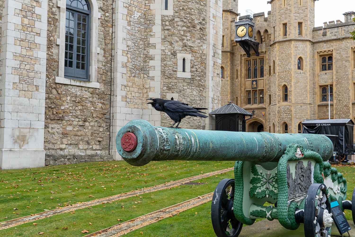 Raven on a Cannon, Tower of London, London, United Kingdom