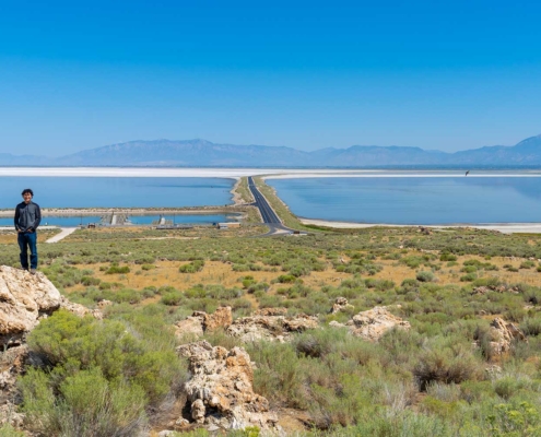 Ace and Antelope Island, Utah, United States