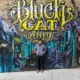 Ace and Black Cat Alley, Milwaukee, Wisconsin, United States