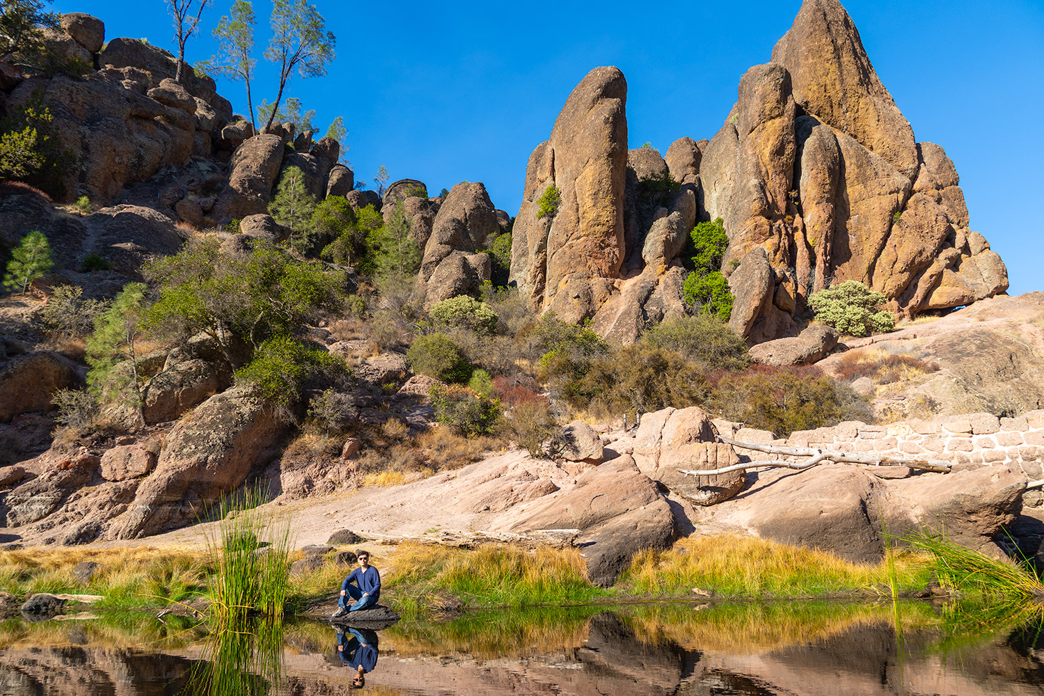 Ace at Bear Gulch Reservoir, Pinnacles National Park, California, United States