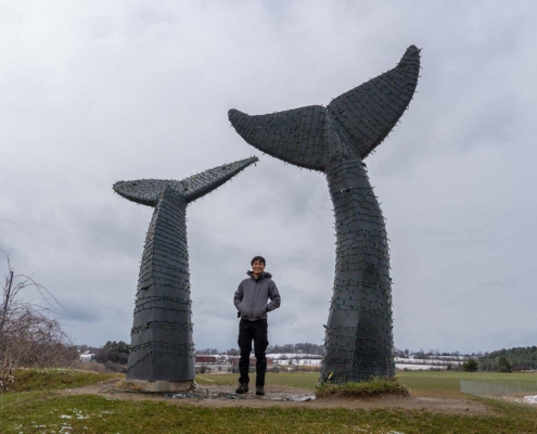 Ace and Whale Tails, Burlington, Vermont, United States