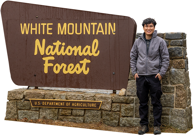 Ace and White Mountain National Forest Sign, New Hampshire, United States