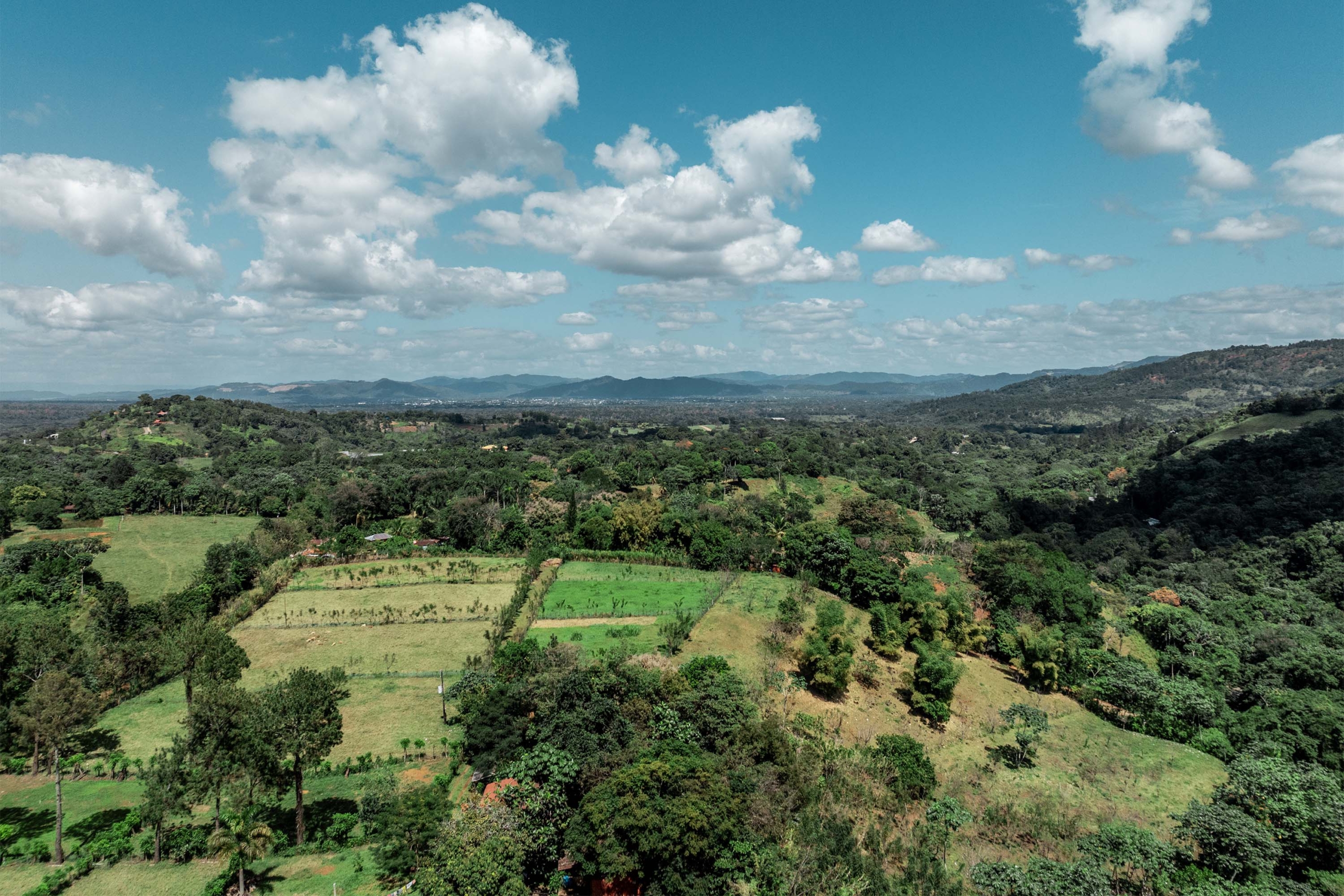 Hacienda del Río (8)