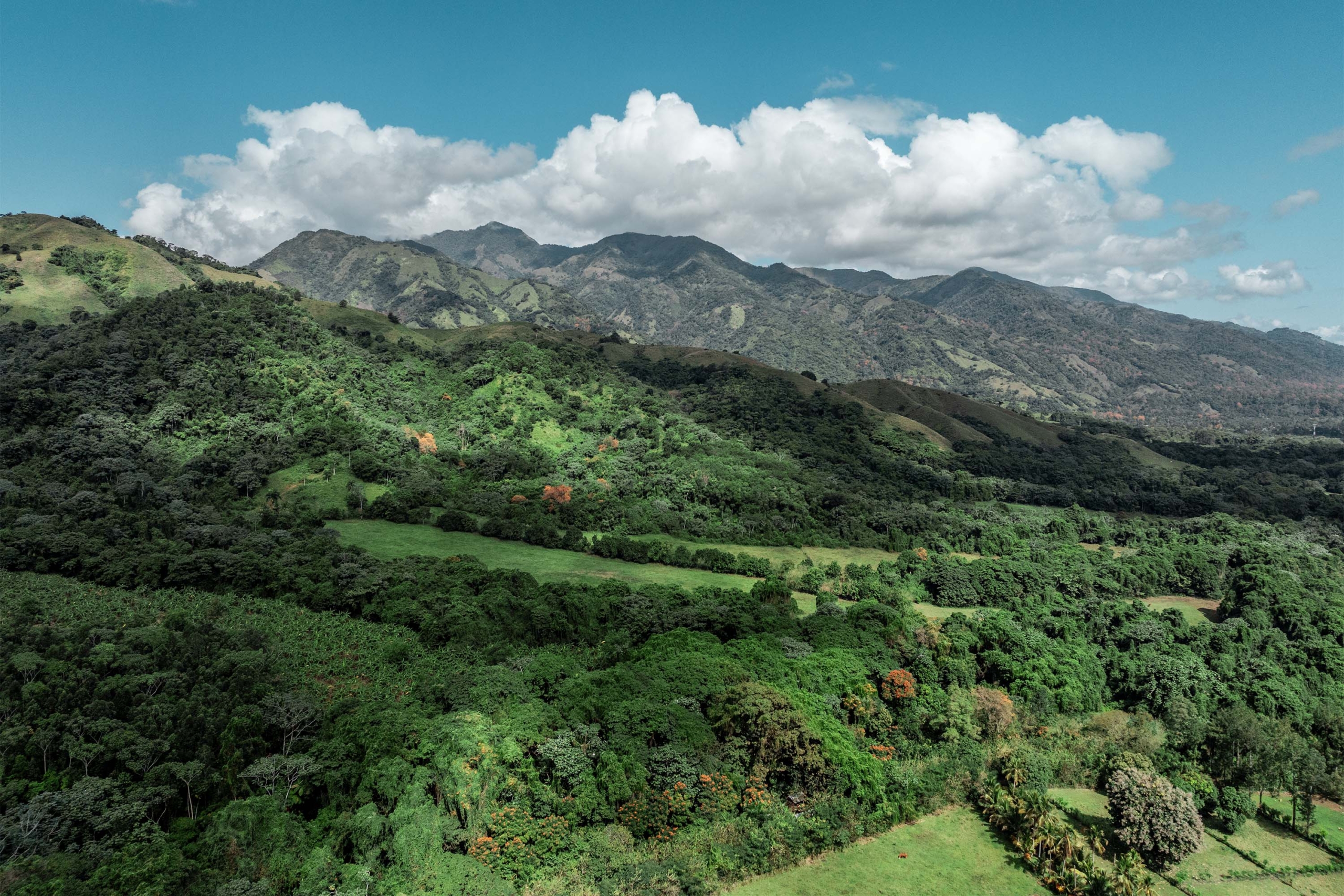 Hacienda del Río (9)