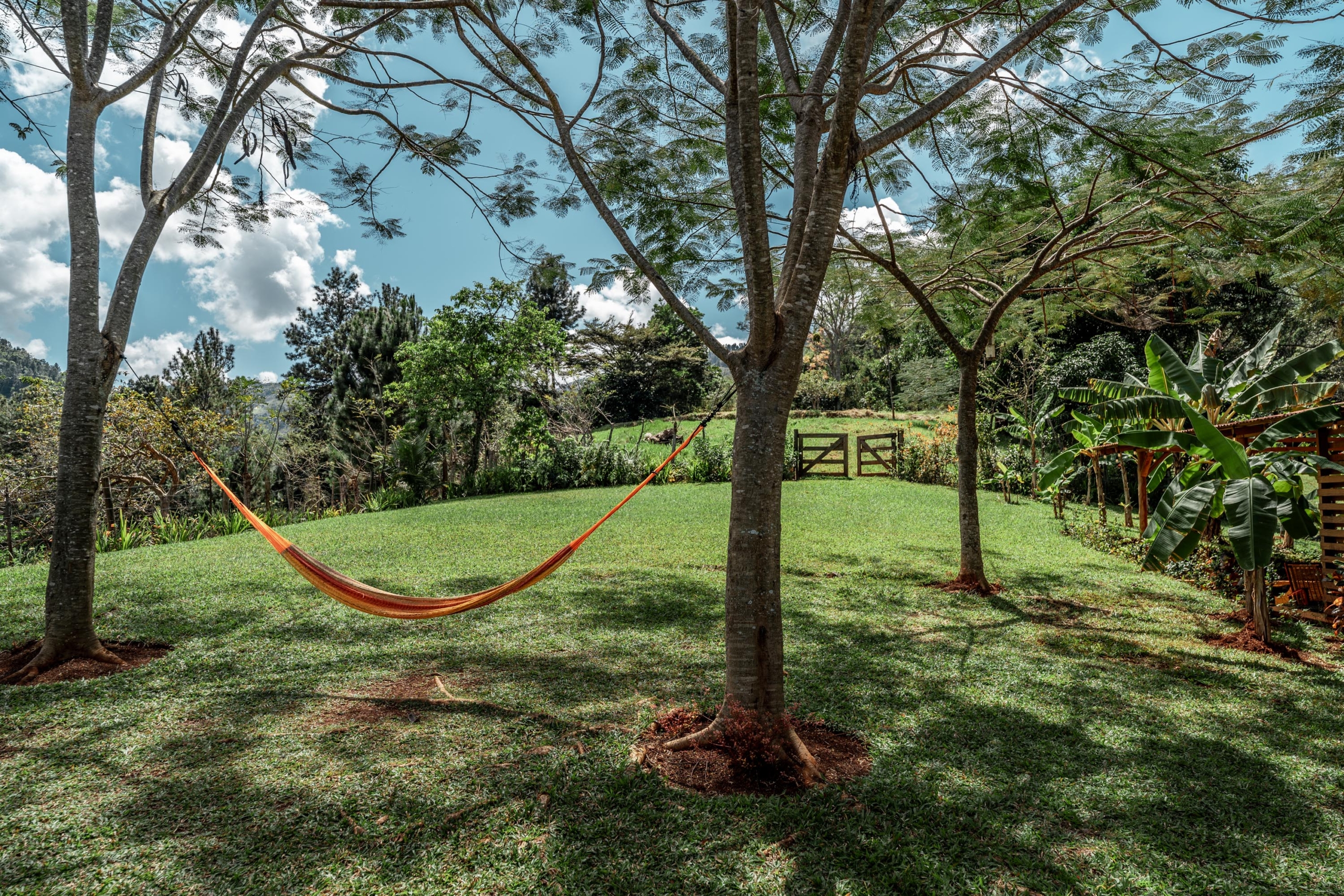 Hacienda del Río - Casa Perla Eco Farm (3)